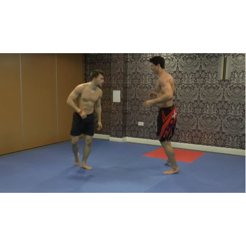 Ultimate Muscle and Dan Speed